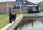 Tiga-Pilar-Wonoayu-Kompak-Tinjau-Budidaya-Ikan-Gurami-di-Desa-Mojorangagung