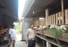 Polresta-Sidoarjo-|-Polsek-Gedangan-Apresiasi-Inisiatif-Warga-Manfaatkan-Lahan-Kosong-untuk-Peternakan-Kambing