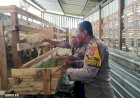 Pemeriksaan-Kesehatan-Hewan-Ternak-di-Desa-Kenongo,-Wujud-Dukungan-Terhadap-Ketahanan-Pangan-Nasional