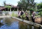Polres-Pacitan-Gelorakan-Swasembada-Pangan-Melalui-Program-P2B