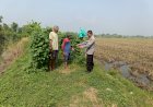 Polsek-Porong-Tinjau-Program-P2B-di-Lahan-Sungai-Desa-Lajuk,-Dukung-Ketahanan-Pangan