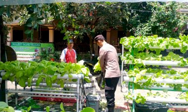 Fasum-Perumahan-di-Candi-Dijadikan-Tanaman-Sayur-Hidroponik-Dukung-Ketahanan-Pangan