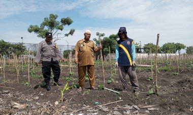 Bhabinkamtibmas,-Perangkat-Desa,-dan-Kelompok-Tani-di-Gedangan-Bahas-Ketahanan-Pangan-melalui-Penanaman-Buah-Garbis