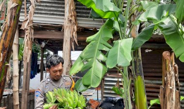 Polsek-Sedati-Dukung-Ketahanan-Pangan-Melalui-Pemanfaatan-Lahan-Pekarangan-Warga-Cemandi