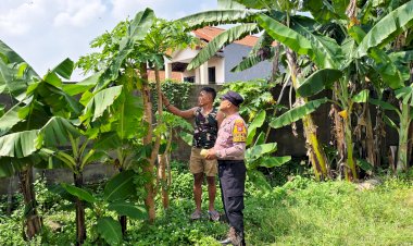 Kapolsek-Taman-Masifkan-Peran-Bhabinkamtibmas-untuk-Edukasi-Warga-Soal-Ketahanan-Pangan-di-Lahan-Kosong