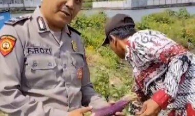 Bhabinkamtibmas-Desa-Permisan-Polsek-Jabon-Tinjau-Lahan-Sayuran,-Dukung-Ketahanan-Pangan-Polresta-Sidoarjo