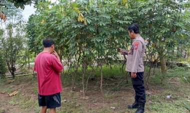 Polsek-Wonoayu-Tinjau-Perkembangan-Lahan-Ketahanan-Pangan