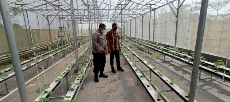 Dukung Ketahanan Pangan, Warga Gempolklutuk bersama Polsek Tarik Kembangkan Melon Hidroponik