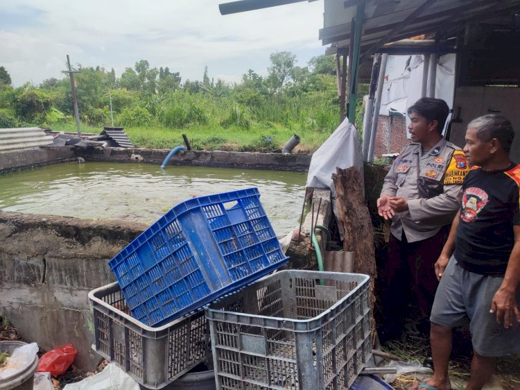 Warga Tanggulangin Bikin Kolam Budidaya Ikan Lele di Lahan Rumah Diapresiasi Polisi