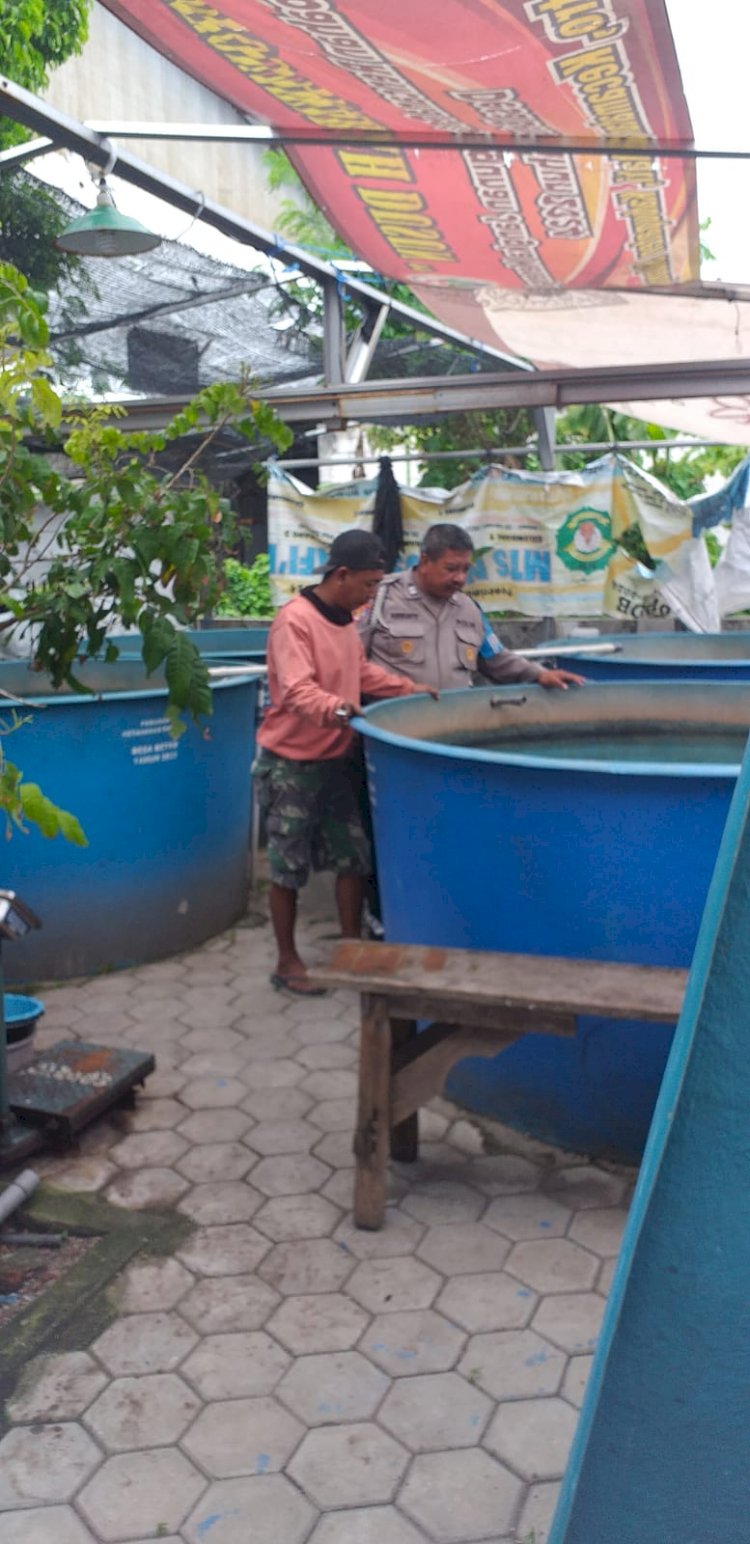 Polsek Sedati Motivasi Warga Manfaatkan Lahan Pekarangan untuk Budidaya Lele