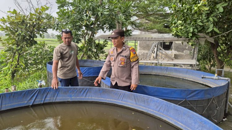 Bhabinkamtibmas Tanjungsari Dukung Warga Budidaya Lele untuk Swasembada Pangan Mandiri