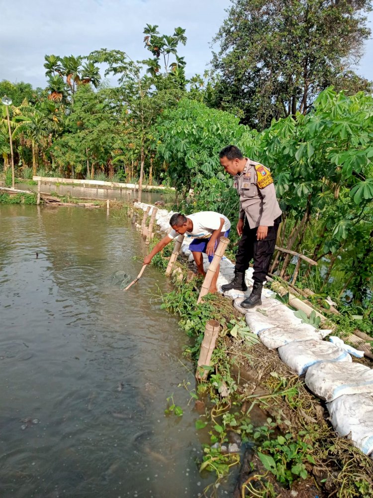 Warga Permata Candiloka Manfaatkan Lahan Kosong untuk Budidaya Ikan Mujair, Dukung Swasembada Pangan