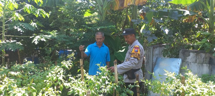 Bhabinkamtibmas Dorong Ketahanan Pangan Lewat Budidaya Sayur di Lahan Fasum Desa Kepuhkiriman