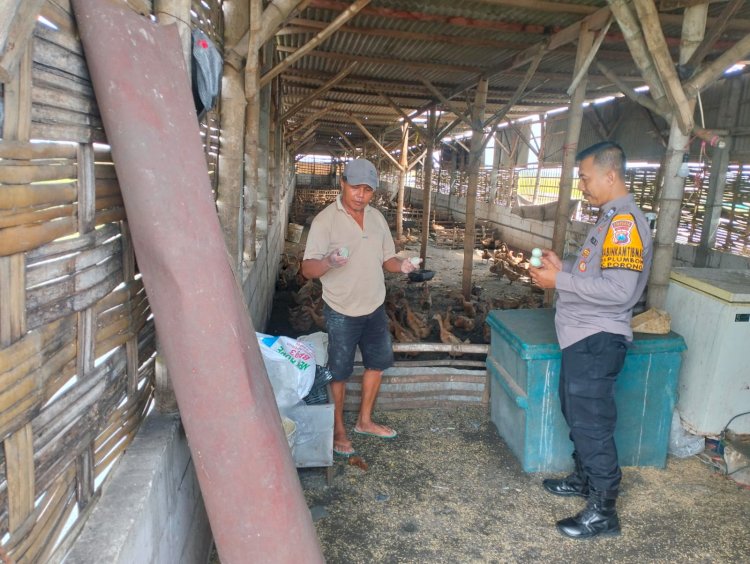 Pengecekan Program Ketahanan Pangan di Plumbon, Bhabinkamtibmas Motivasi Peternakan Bebek Petelur