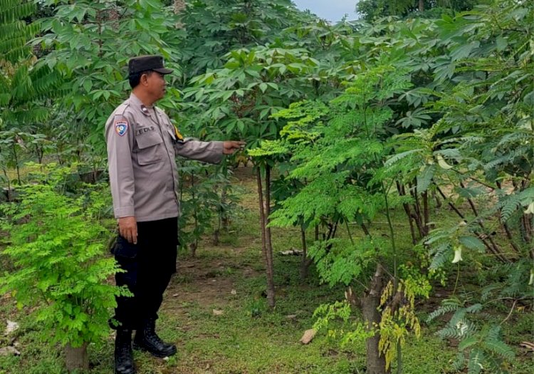 Warga Desa Ketimang Wonoayu Manfaatkan Lahan Kosong untuk Wujudkan Ketahanan Pangan