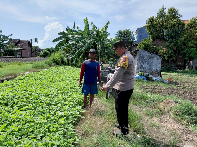 Motivasi Ketahanan Pangan, Polisi Cek Perkembangan Lahan