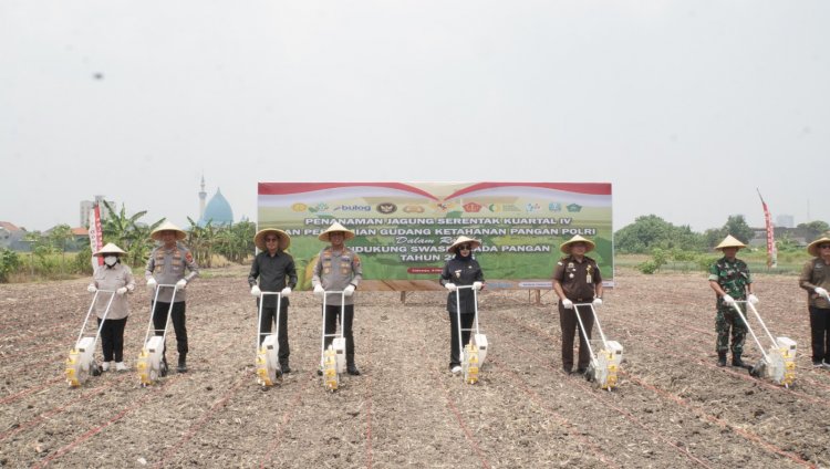 Dukung Swasembada Pangan, Polresta Sidoarjo Tanam Jagung Kuartal IV