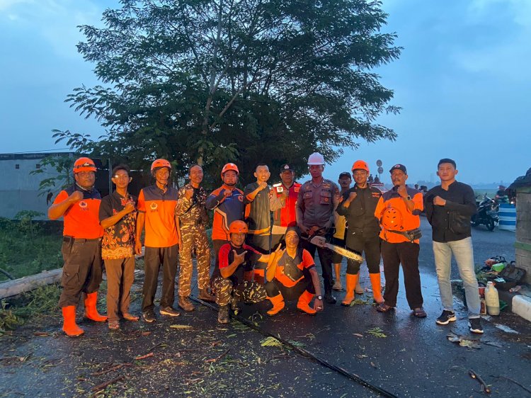 Turun Bareng Evakuasi Pohon Tumbang di Tulangan Sidoarjo