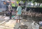 Kapolsek-Tarik-Instruksikan-Patroli-Desa-Sambil-Cek-Program-Ketahanan-Pangan
