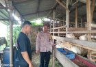 Bhabinkamtibmas-Desa-Medalem-Polsek-Tulangan-Dampingi-Pendataan-Kendala-Program-P2B-untuk-Peternakan-Kambing
