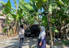 Polisi-Cinta-Petani-Dampingi-Ketahanan-Pangan-Budidaya-Pisang-Warga
