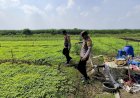 Program-Polisi-Cinta-Petani:-Polsek-Krembung-Aktif-Dampingi-Lahan-P2B
