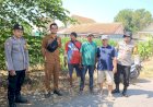 Polsek-Balongbendo-Ajak-Petani-Perhatikan-Perkembangan-Jagung-Hibrida-di-Desa-Singkalan