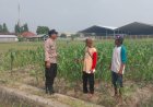 Motivasi-Petani-Desa-Lebo,-Polisi-Pastikan-Perkembangan-Jagung-Penuhi-Swasembada-Pangan
