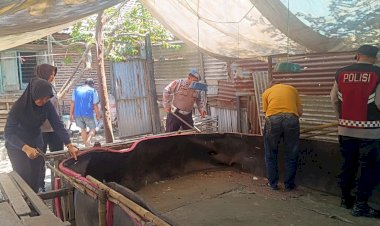 Polsek-Krian-Bongkar-Arena-Sabung-Ayam-di-Ponokawan