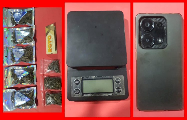 Polres Pelabuhan Tanjung Perak Ungkap Peredaran Ganja di Medos, Tersangka Pengedar Diamankan