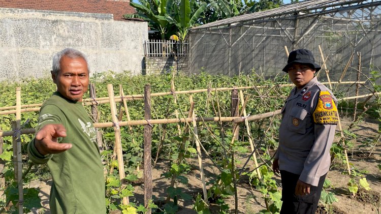 Polsek Balongbendo Masif Dampingi Warga Kelola P2L, Dukung Ketahanan Pangan